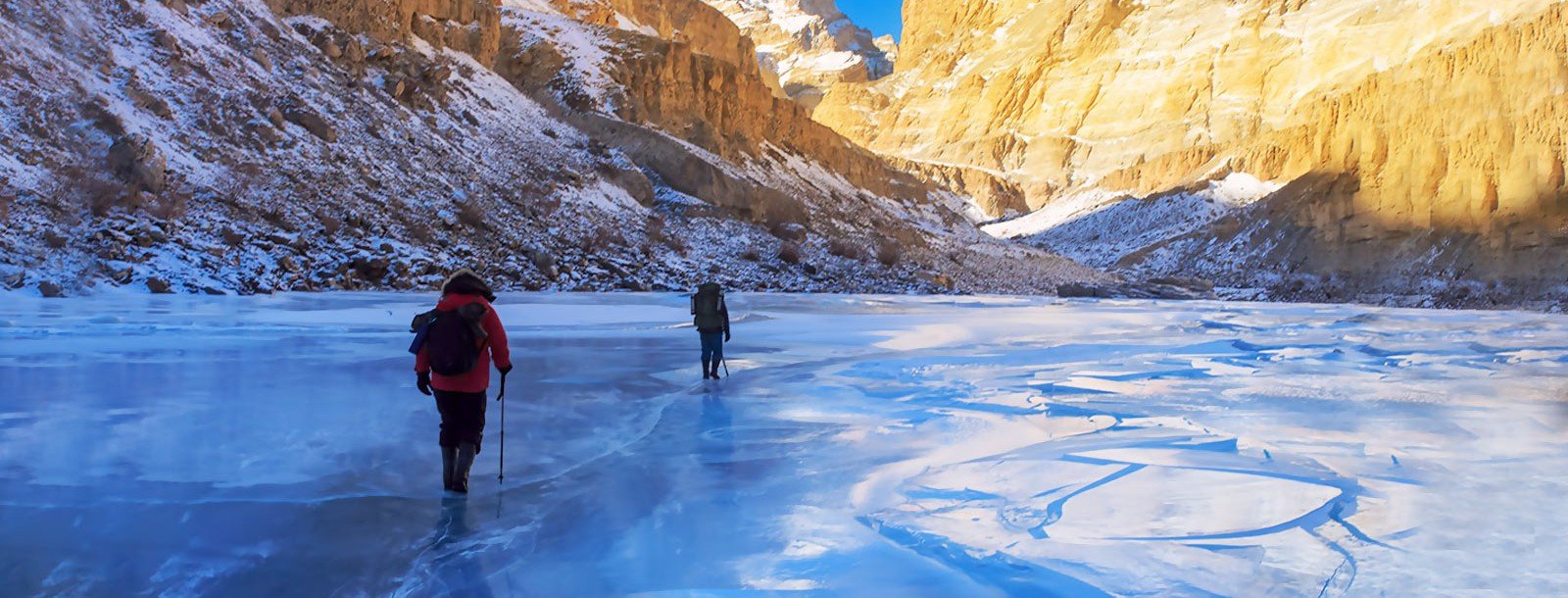 Frozen gumboots on sale